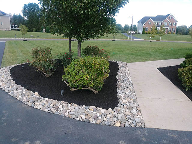 santini landscaping image