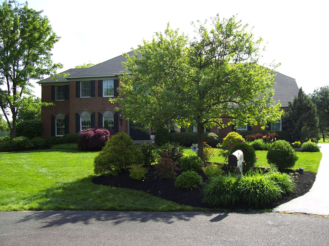 santini landscaping image