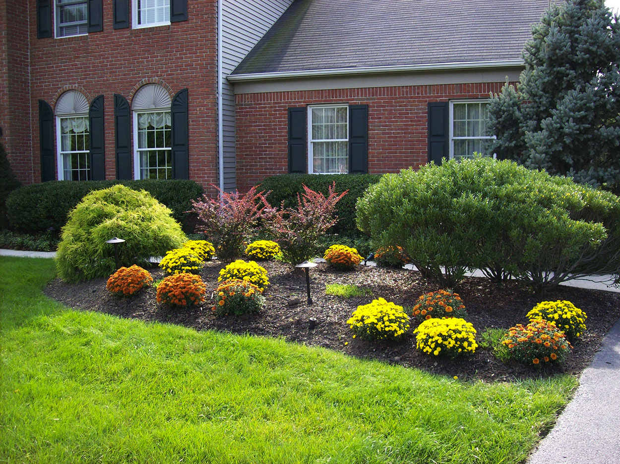 santini landscaping image