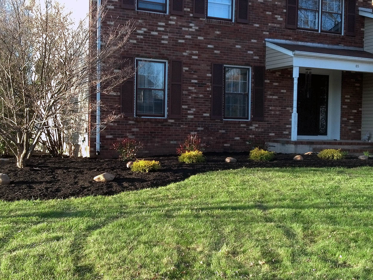 santini landscaping image