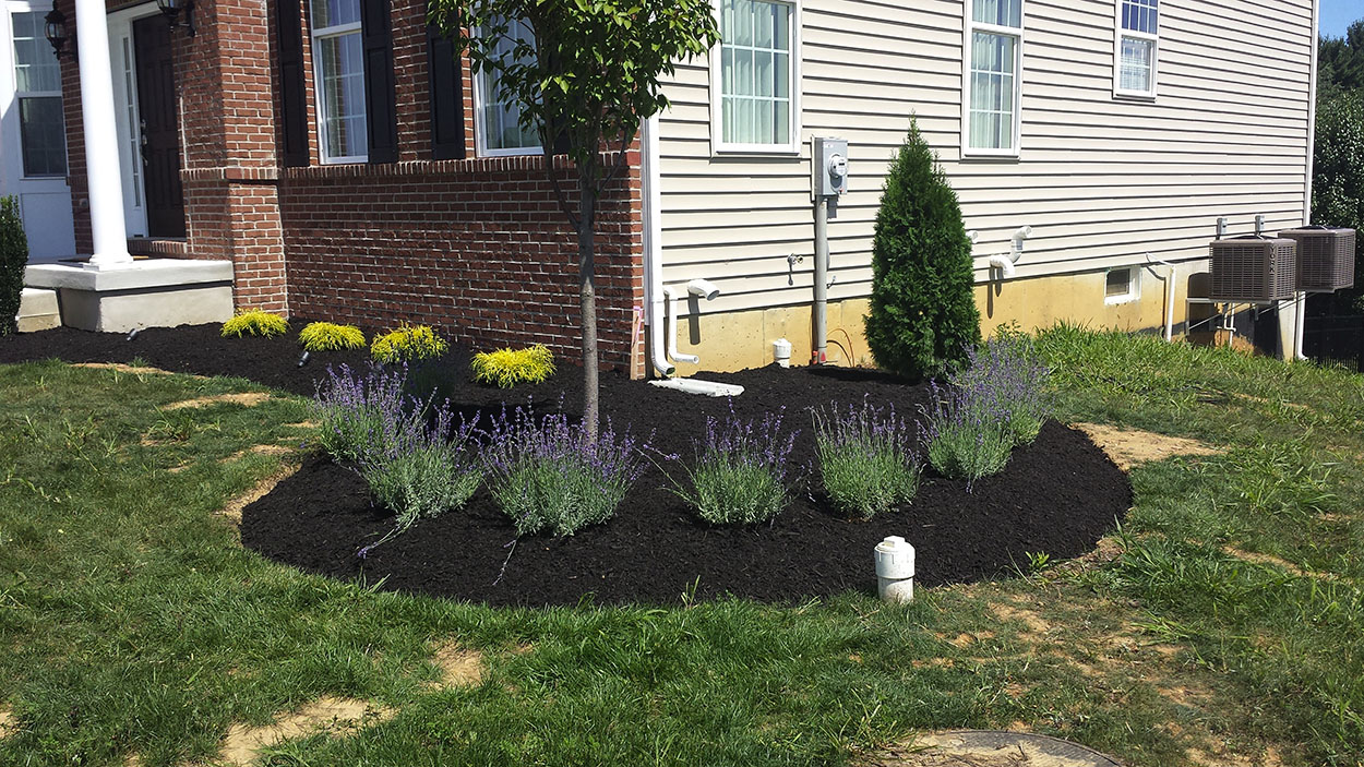 santini landscaping image