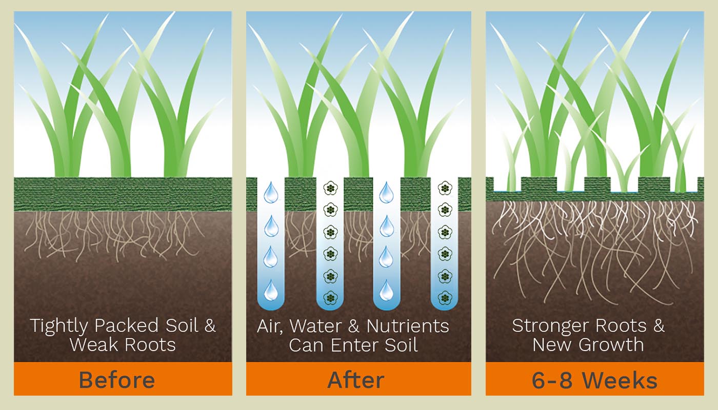 illustration of core aeration