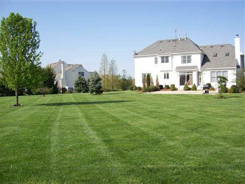 hamilton nj lawn maintenance