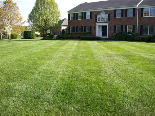 lawn mowing princeton nj