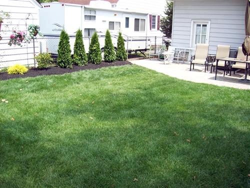 lawrenceville nj sod installation