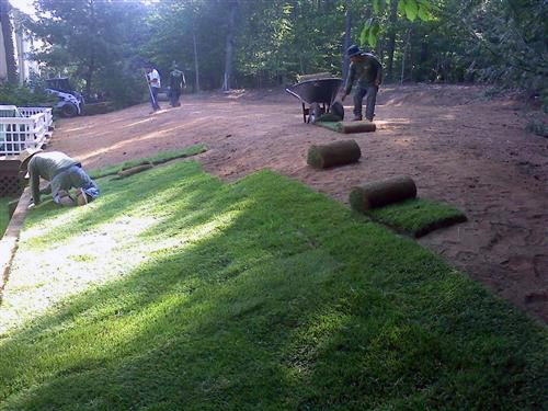 sod install promceton nj